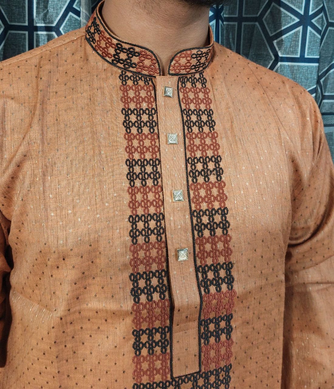 LM-Panjabi-049