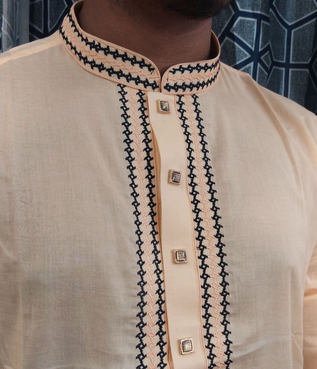 LM-Panjabi-041