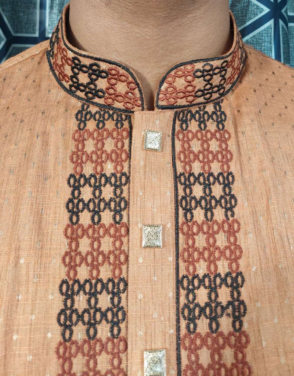 LM-Panjabi-049